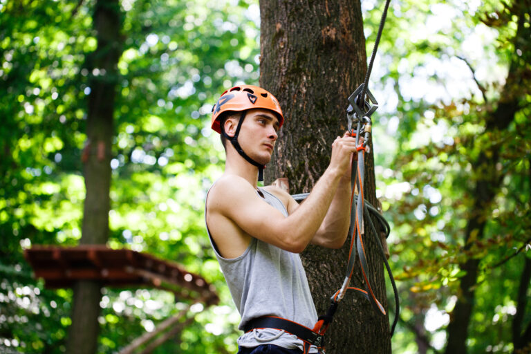 Élagueur professionnel grimpeur dans un arbre pour élagage en Manche