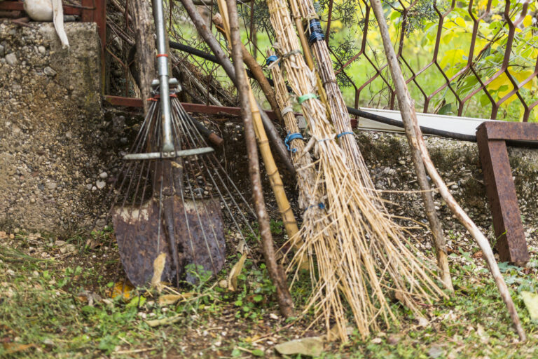 Broyage de végétaux et copeaux de bois issus d'élagage pour paillage de jardin
